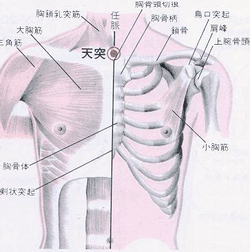 天住穴|醫砭 » 經穴庫 » 天牖